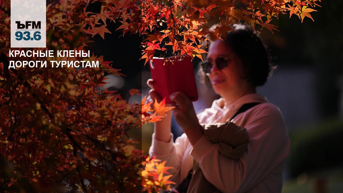 Красные клены дороги туристам // Во сколько обойдется поездка в Японию