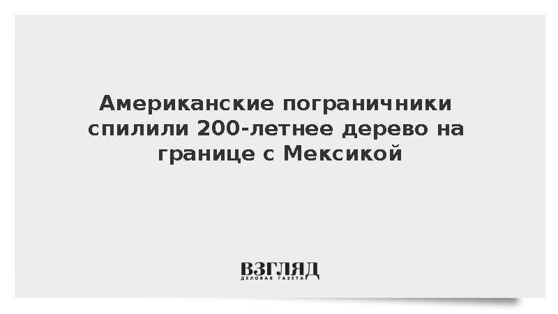 The Intercept: В США ради пограничной стены спилили 200-летнее дерево