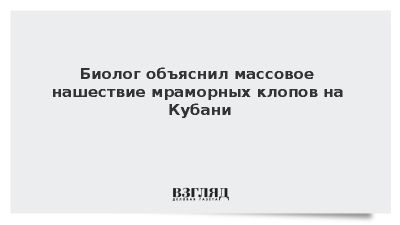 Ученый Гладун объяснил массу мраморных клопов на Кубани подготовкой к зимовке