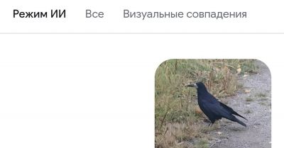 Дикая женщина