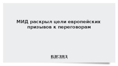 МИД: Европа использует переговоры для передышки украинских войск
